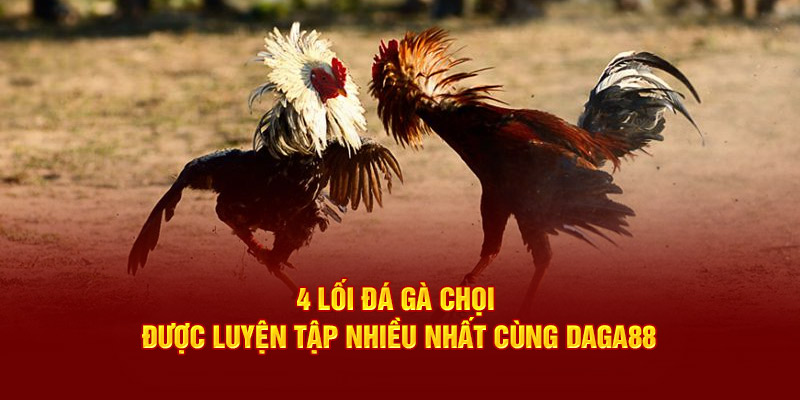 4 Lối Đá Gà Chọi Được Luyện Tập Nhiều Nhất Cùng Daga88