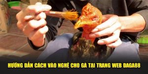 Vào Nghệ Cho Gà Đá - Kỹ Thuật Đúng Chuẩn Từ Daga88