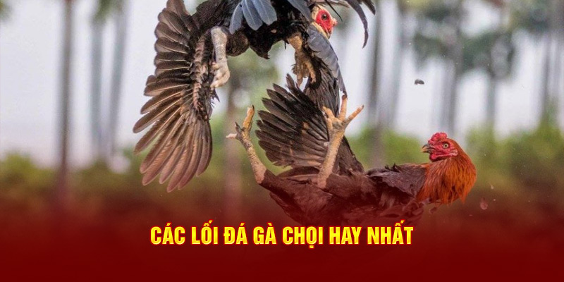 Các lối đá gà chọi hay nhất