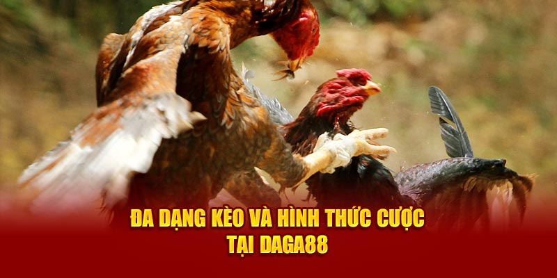 Đa dạng kèo và hình thức cược