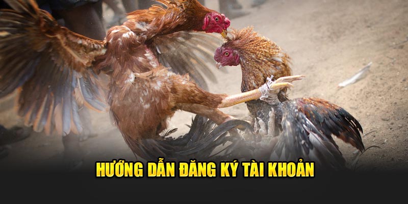 Hướng dẫn đăng ký tài khoản