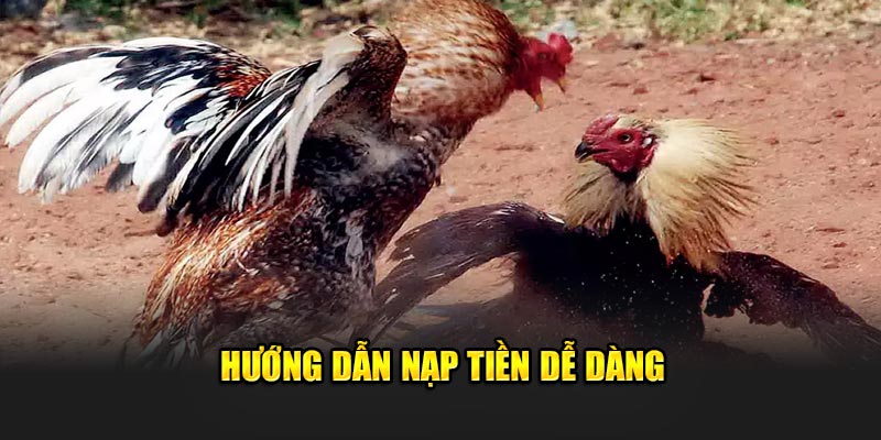 Hướng dẫn nạp tiền dễ dàng