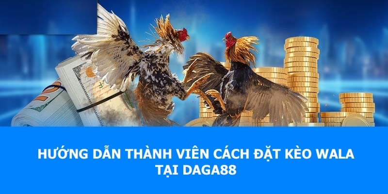 Quy trình đặt cược kèo Wala88 tại nhà cái 