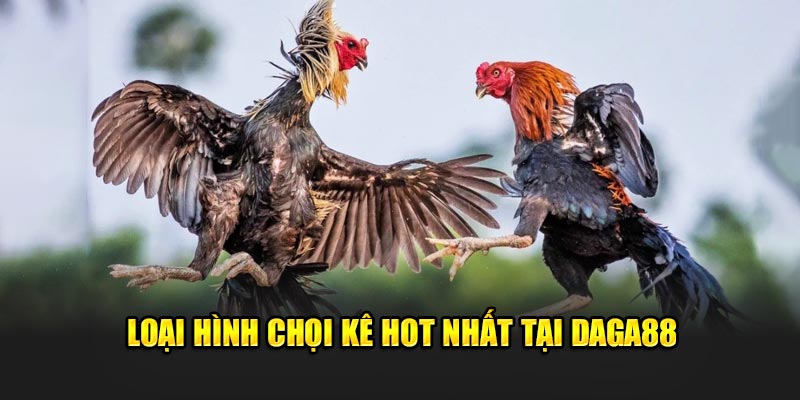 Loại hình chọi kê hot nhất tại Daga88