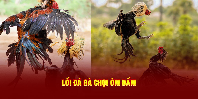 Lối đá gà chọi ôm đấm