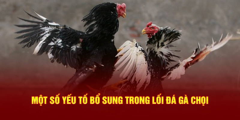 Một số yếu tố bổ sung trong lối đá gà chọi