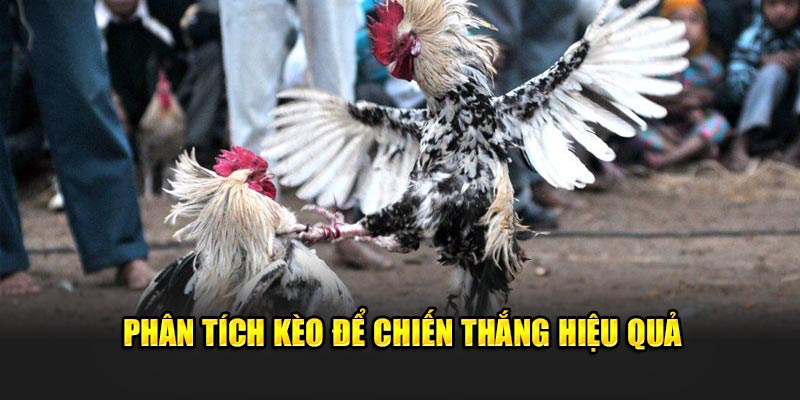 Phân tích kèo để chiến thắng hiệu quả