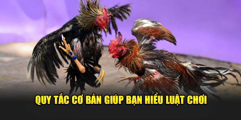 Quy tắc cơ bản giúp bạn hiểu luật chơi