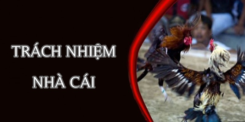 Tìm hiểu sơ lược về trách nhiệm nhà cái Daga88