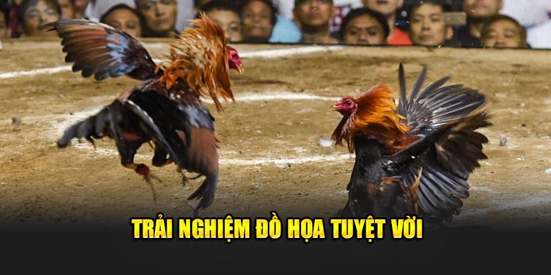 Trải nghiệm đồ họa tuyệt vời