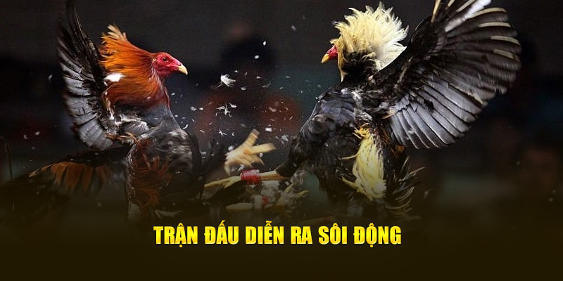 Trận đấu diễn ra sôi động