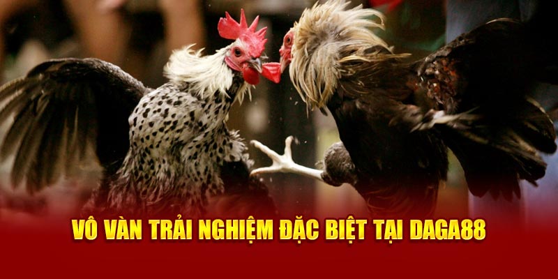 Vô vàn trải nghiệm đặc biệt tại Daga88