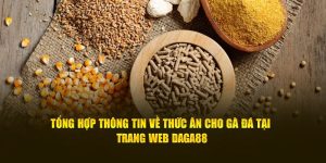 Thức Ăn Cho Gà Đá - Công Thức Bí Truyền Ít Ai Biết Daga88